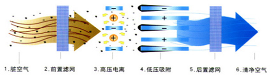 5d424eada9e42.png image.png