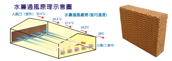 5d4253ee3d42b.png image.png