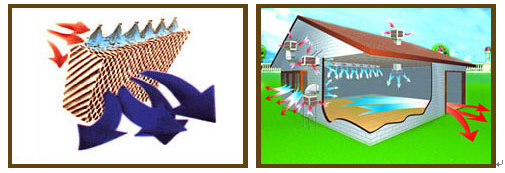 5d425480b191d.png image.png